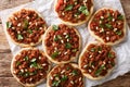 BeefÃÂ Sfiha Lebanese mini pizzas topped with ground beef, onions, tomato, and pine nuts closeup. Horizontal top view